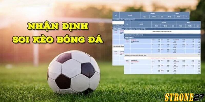 Không nên đặt cược dựa trên cảm tính