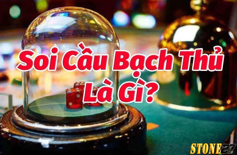 Bạch thủ lô là gì?